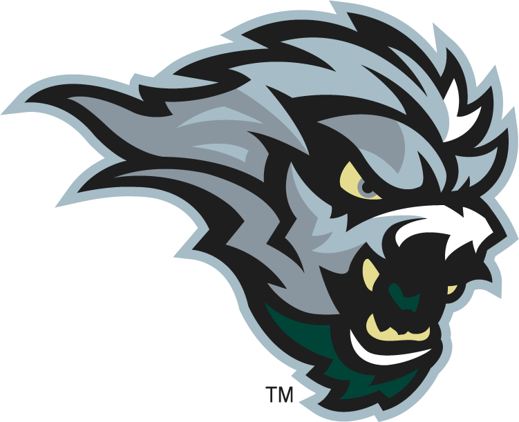 Green Bay Blizzard 2010-2014 Secondary Logo iron on transfers for T-shirts